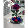 Красно-синяя роза в колбе люкс в подарочной коробке с вау-эффектом /32 см/Живет 5 лет!