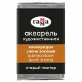 6 шт. Акварель художественная Гамма Старый Мастер хинакридон сиена жженая, 2,6мл, кювета