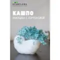 Интерьерная ракушка Stabflora Наутилус, гипс, с цветами гортензии , голубая