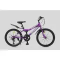 Велосипед детский VELTORY 20V-906, фиолетовый, колеса 20D, на рост 120-140см (7-11 лет)