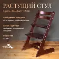 Растущий стул для детей и школьников Конек Горбунек Комфорт, стул для кормления детский, орех