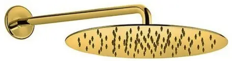 Верхний душ Webert AC0841794, матовое золото