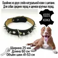 Ошейник из натуральной кожи с шипами для собак средних пород и щенков 25 мм*60 см, объём шеи 41-53 см. Два слоя натуральной кожи.
