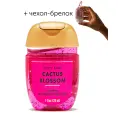 Bath & Body Works Карманный санитайзер для рук антисептик PocketBac, Cactus Blossom + чехол брелок