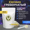 Ежовик (Ежевик) Гребенчатый Мицелий, 1 кг.