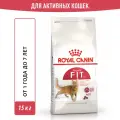 Сухой корм для умеренно активных кошек Royal Canin Fit 32, 15 кг