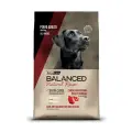 Сухой корм для собак Vitalcan Balanced Adult Natural Recipe для взрослых собак с отборной Аргентинской говядиной, 15 кг