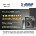 Поршнекомплект (Эксперт) Д65-1000108-С-90 (110,0)