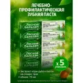 Зубная паста лесной бальзам Экстракт коры дуба и пихты на отваре трав, против кровоточивости десен лечебно-профилактическая, 75мл x 5 упаковок