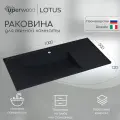 Раковина кварцевая для ванной Uperwood Lotus Quartz, 100х50х13 см, черная матовая, уголь