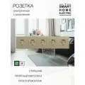 Розетка электрическая, на 5 постов с заземлением, золотая, IP20, скрытая, матовая