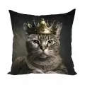 Zaberite Коты-Короли Василий / 40х40 / велюр / подарок / подушка диванная / подушка для интерьера
