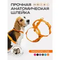 Шлейка для собак средних и крупных пород анатомическая размер М, оранжевая, PRO COMFORT