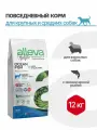 Alleva Holistic Adult Ocean Fish Medium/Maxi сухой корм для собак с океанической рыбой, коноплей и алое вера, 12 кг