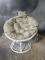 Кресло Папасанротанг мини белый/бежевая