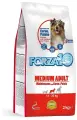 Корм сухой Forza10 Maintenance для взрослых собак средних пород, с мясом дикого оленя и молодым картофелем, 2 кг