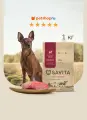 SAVITA Беззерновой сухой корм для собак малых пород с телятиной, GRAIN FREE ADULT MINI, Veal, 1 кг