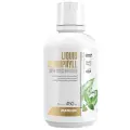 MAXLER Liquid Chlorophyll Super Concentrated фл., 450 мл, 500 г, мята