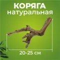 Натуральная коряга для террариума, декорация и украшение декор для рептилий, ящериц, длина 20-25 см, Универсальное украшение для террариумов экзотических животных.