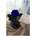 Стабилизированные цветы в стекле, Роза в колбе живая Premium синяя , GIFT4YOU