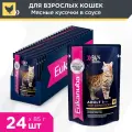 Влажный корм для кошек Eukanuba Adult Top Condition кусочки в соусе с птицей, 24 шт по 85 г