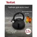 Чайник со свистком Tefal Kettle ss induction N4180417 2.5 л, подходит для газовых, электрических и индукционных плит