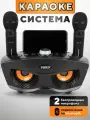 Караоке система беспроводная с двумя микрофонами SD-306 Сова Черная