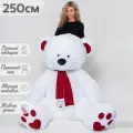 Большой плюшевый мишка, плюшевый медведь, мягкая игрушка Кельвин 250 см, белый