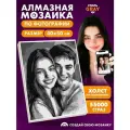 Алмазная мозаика по фото, Gray цвет ЧБ, 40*50, полное заполнение, Школа талантов