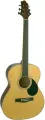 Акустическая гитара Greg bennett GA60 N
