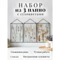 Триптих Сет из 3 панно на стену с сухоцветами Бежевые травы Forget-me-not / 20*30 см каждая рама / черная рама