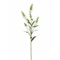 Fiebiger Floristik 204579-100 Ветка декоративная Астильба, 76 см