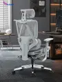 Кресло H998 HICHAIR С Регулируемым Наклоном И Поддержкой ПоясницыКачания