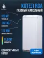 Котел напольный газовый RGA АОГВ 11,6-3 исп 6 (RGA 11 SG 2210-259)
