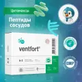Вентфорт N20 — поддержка сосудов и сердца, пептиды при атеросклерозе и нарушении кровообращения