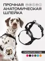 Шлейка для собак средних и крупных пород анатомическая размер М, черная, PRO COMFORT