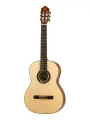 SM602 Классическая гитара 4/4, Hora