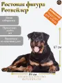 Ростовые фигуры: Ростовая фигура Ротвейлер