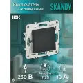 Выключатель одноклавишный 10А SK-V01G цвет Графит IEK SKANDY