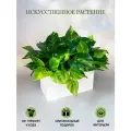 Искусственная трава в ящике для дома и офиса, ПоДар. Ок Home
