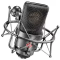 Микрофон студийный конденсаторный Neumann TLM 103 mt Mono set