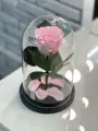 Нежно-Розовая роза в колбе Мини в подарочной коробке с вау-эффектом/22см/Живет 5 лет