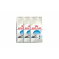 Royal Canin Feline Indoor 7+ сухой корм для пожилых кошек, постоянно проживающих в помещении - 3,5 кг х 3 шт.