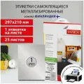 Этикетки / наклейки самоклеящиеся, 210х297мм, 1 этикетка, серебро, 25 листов, Tanex, 114544