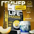 Гейнер Tree of life 6LB Дыня + Креатин моногидрат 150 грамм / Комплекс спортивного питания для набора мышц