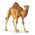 Фигурка Schleich Одногорбый верблюд, арт.14832, коллекционная