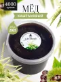 Каштановый мед 4000 г, для иммунитета, полезный подарок
