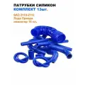 Комплект патрубков 13 шт ВАЗ 2110-12 / 16кл / силикон синий