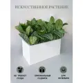 Искусственная трава в ящике для дома и офиса, ПоДар. Ок Home