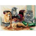 Риолис Набор для вышивания Кошачье семейство (1327), разноцветный, 40 х 30 см